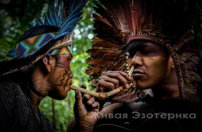 Рапэ - секрет шаманов Амазонии.