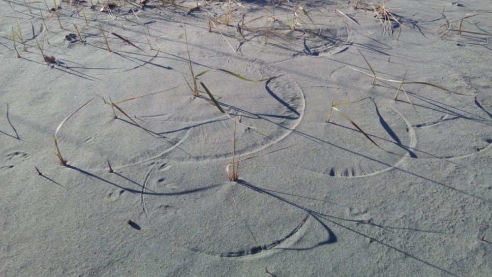 WhatsApp Image 2018-10-26 at 15.14.42.jpeg