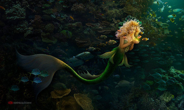 mermaid.jpg.ef8b4727427ba6bc0094db1641fa936e.jpg