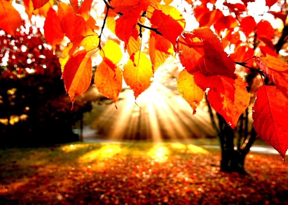 завтра сентябрь.jpg