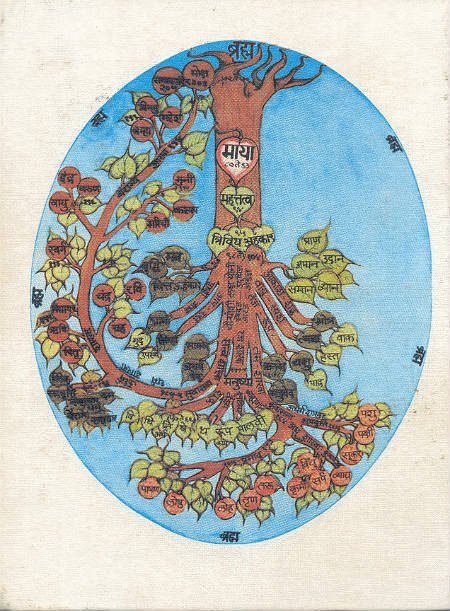 a015.jpg